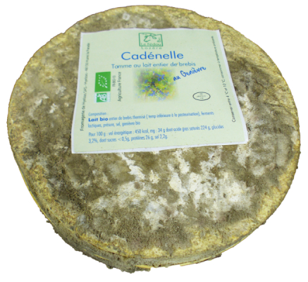 Vallée Verte La  Cadénelle