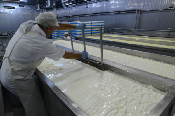 bio-verde Original griechischer Feta
