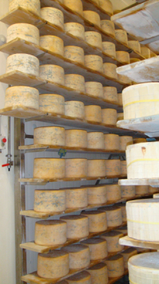 bio-verde Italienischer Gorgonzola D.O.P.