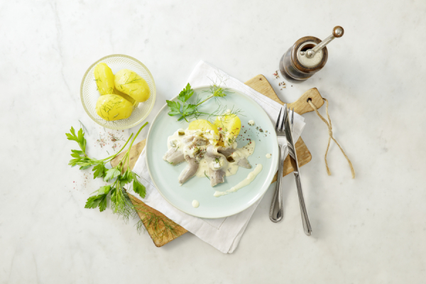 bio-verde Sahne-Herings-Filets