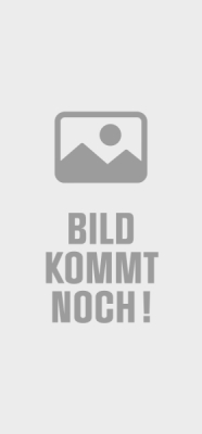 Rosengarten Mini-Schoko-Weihnachtsmann in Stanniolpapier