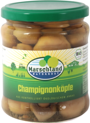 Champignon Köpfe