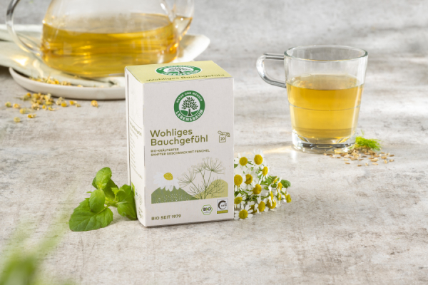 LEBENSBAUM Wohliges Bauchgefühl