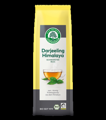 LEBENSBAUM Darjeeling Himalaya Blatt