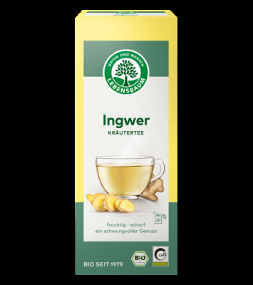 LEBENSBAUM Ingwer