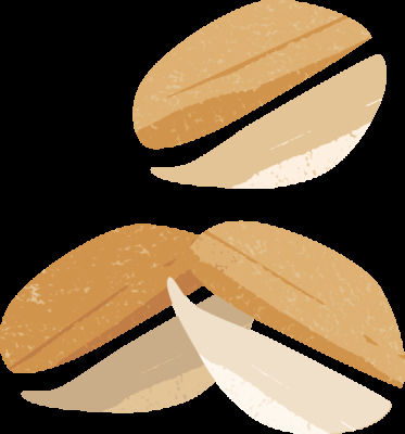 Allos Flapjack Nuss