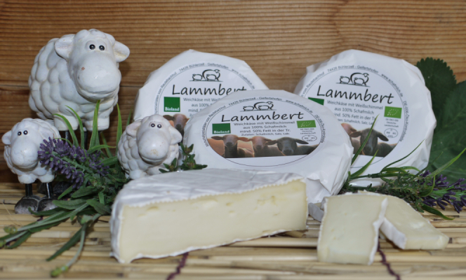 Reutebachhof Bio-Schafmilch-Weichkäse mit Weißschimmel,Lammbert