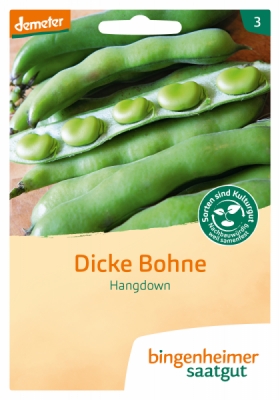 Dickebohne Hangdown