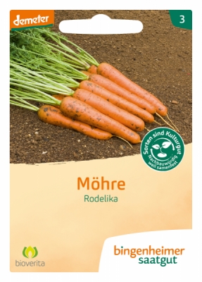 Möhre spät Rodelika