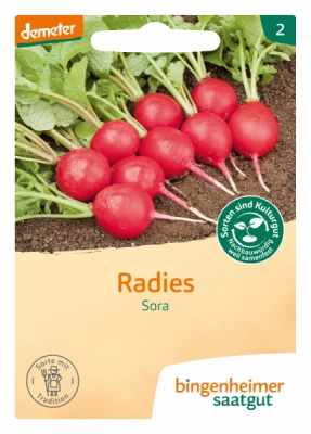 Radieschen Sora