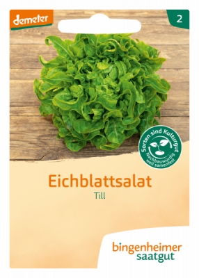 Eichblattsalat Till