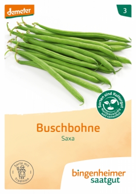 Bingenheimer Saatgut Buschbohne Saxa, 30 gr Tüte