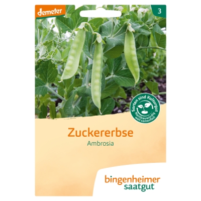 Zuckererbse Ambrosia