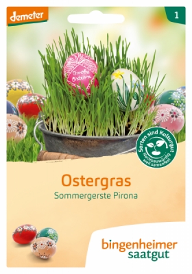 Ostergras Saatgut Sommergerste Pirona