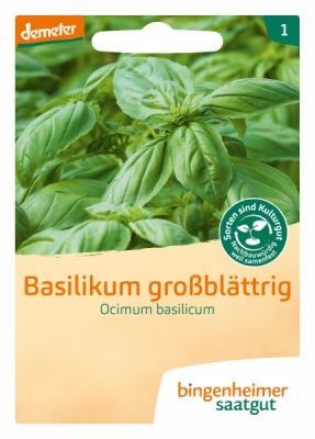 Basilikum großblättrig