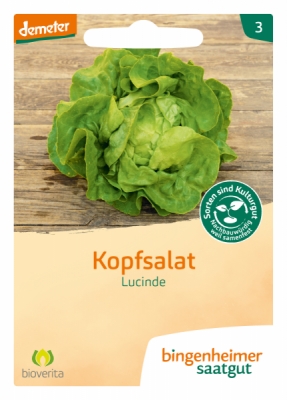 Kopfsalat Lucinde