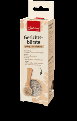 P. Jentschura Gesichtsbürste