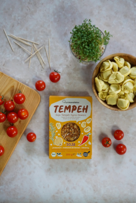 tempehmanufaktur Tempeh mit Gyros-Gewürz